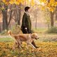 3 Crucial Tips For Dog Walkers