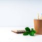 ecofriendly-stationery-paper-sticks