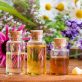 essential oil manufacturers