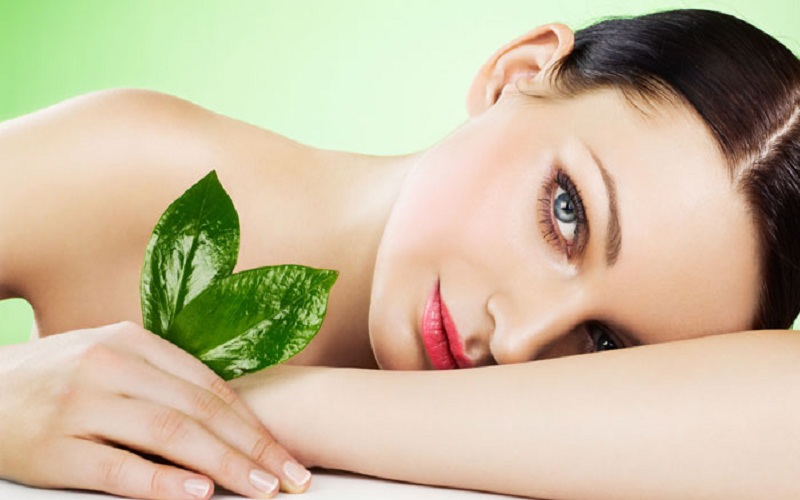 Ayurvedic Cosmetic Suppliers